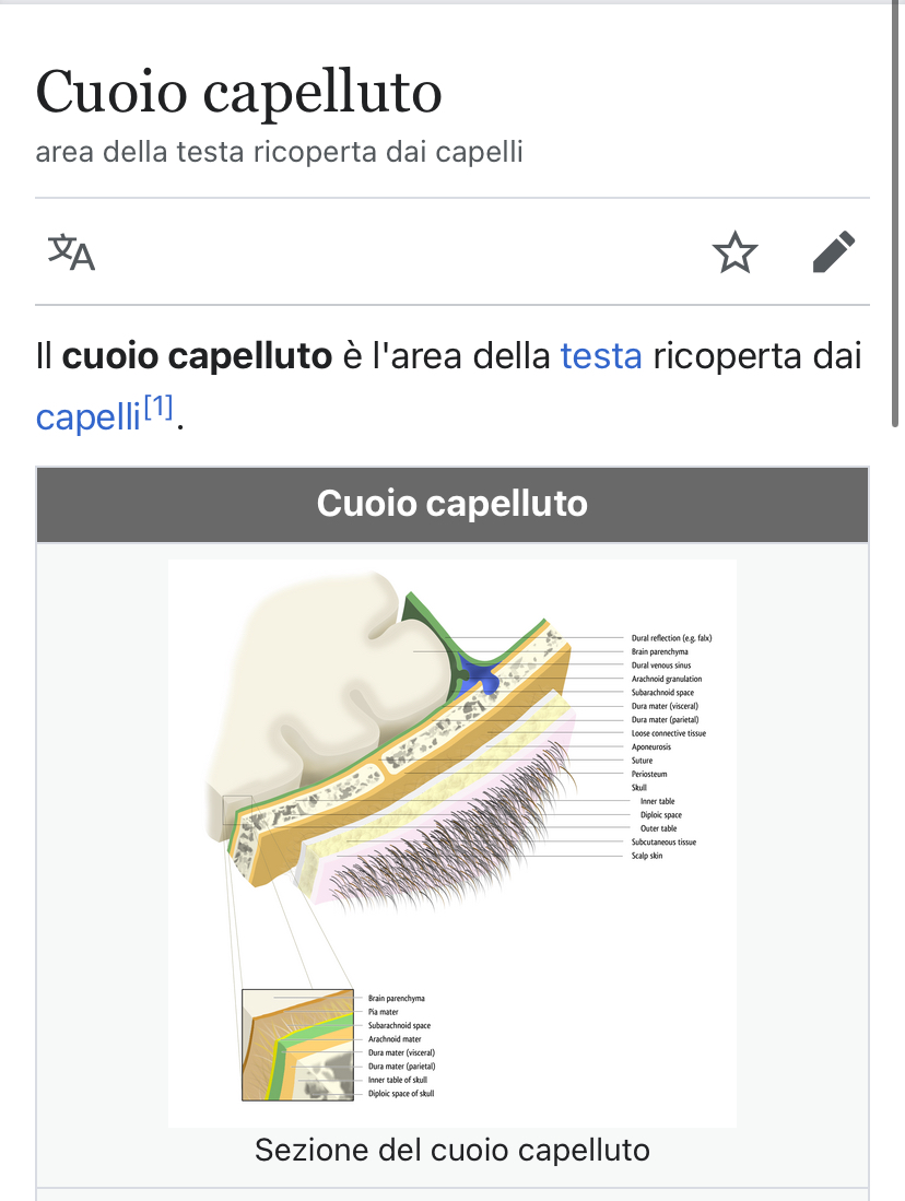 IL CASO PRODI: due opinioni a confronto